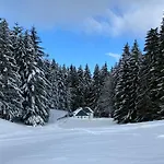 L'orpin Givré - Limoselle Avec Grande Mezzanine Chalet Ventron