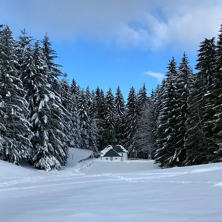L'orpin Givre - Limoselle Avec Grande Mezzanine Chalet Ventron