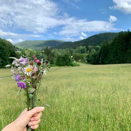 L'orpin Givré - Limoselle Avec Grande Mezzanine *