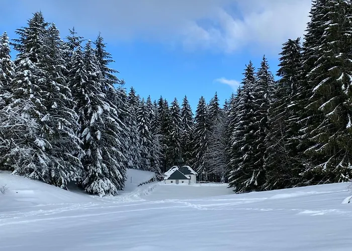 L'orpin Givre - Limoselle Avec Grande Mezzanine Horská chata Ventron