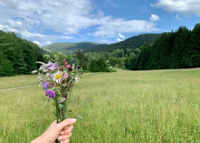 L'orpin Givre - Limoselle Avec Grande Mezzanine *